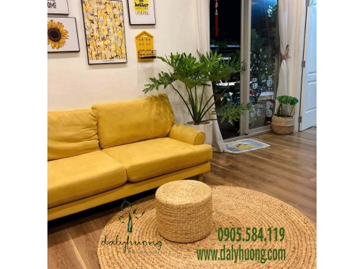 Thảm lục bình tròn