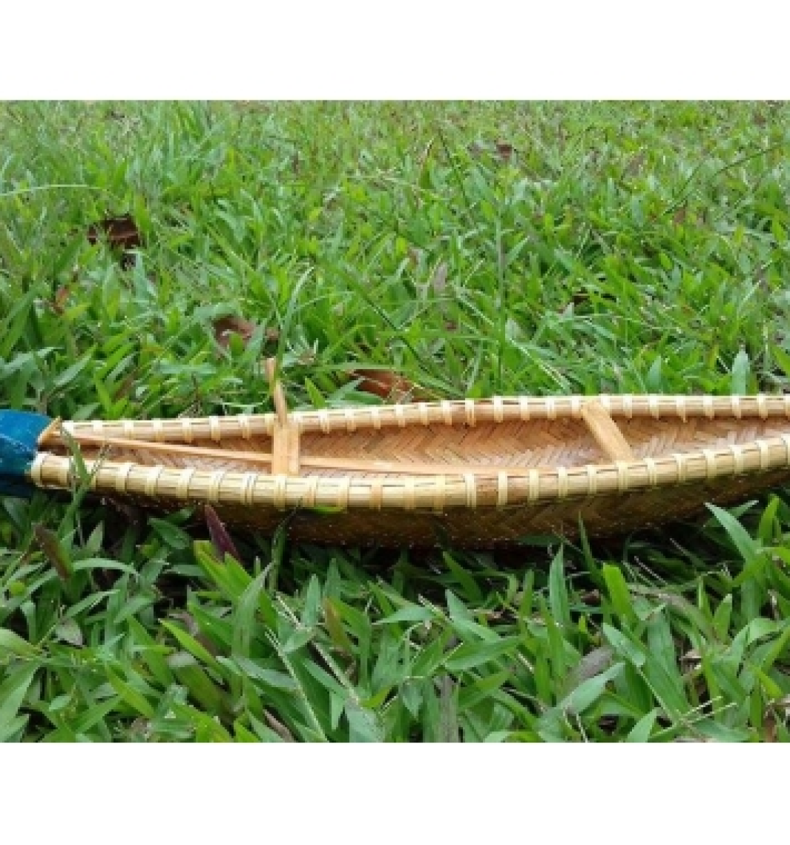 Thuyền đua tre