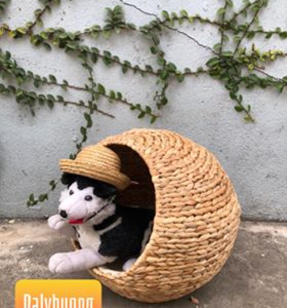 Nhà mèo lục bình tròn + nệm