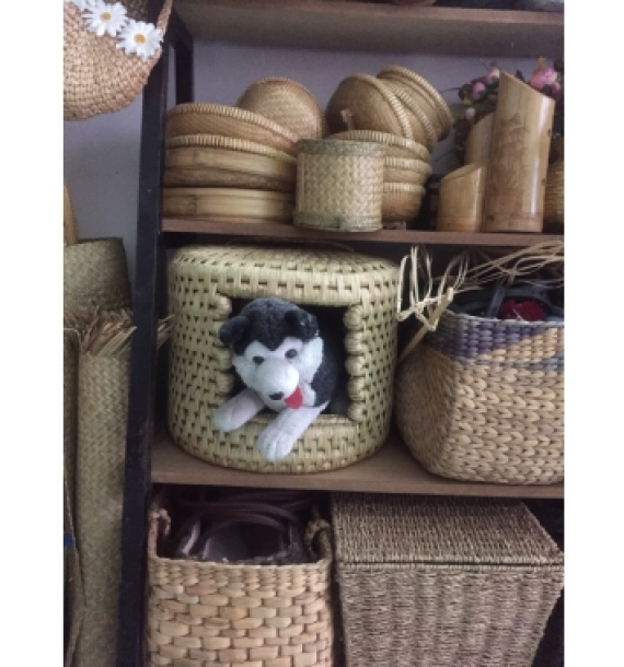 Nhà mèo rơm, nhà chó