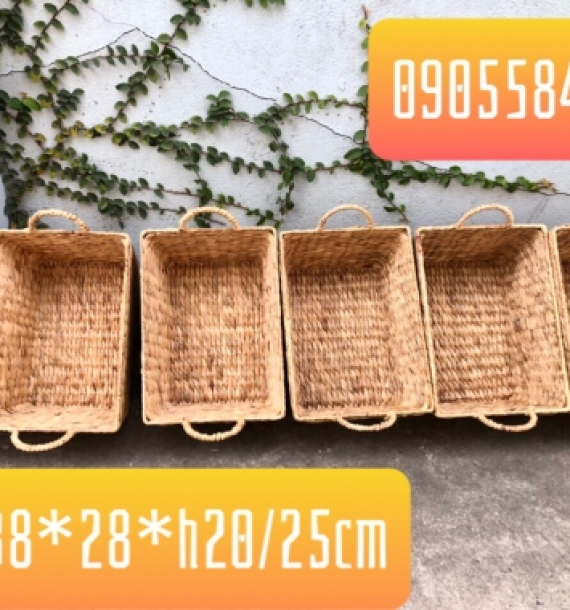 KHay lục bình oval 2 quai cầm