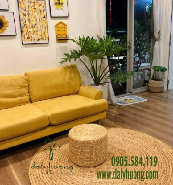 Thảm lục bình tròn